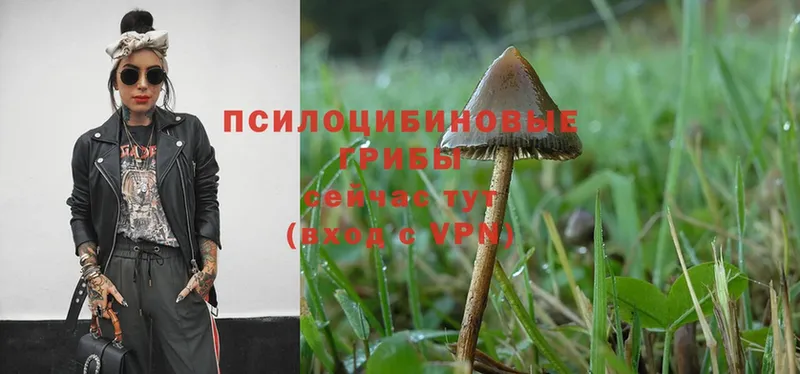 Галлюциногенные грибы Magic Shrooms  Болхов 